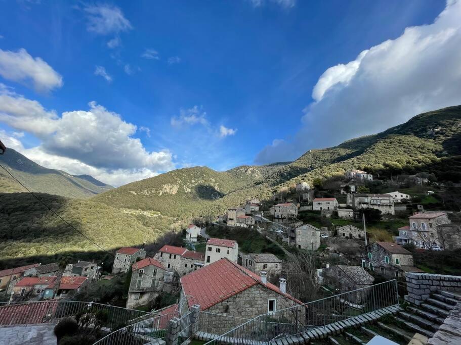 Casa Arena Authentique Maison De Village Avec Piscine Au Coeur De L'Alta Rocca - Zoza Eksteriør bilde