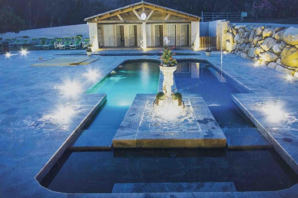 Casa Arena Authentique Maison De Village Avec Piscine Au Coeur De L'Alta Rocca - Zoza Eksteriør bilde