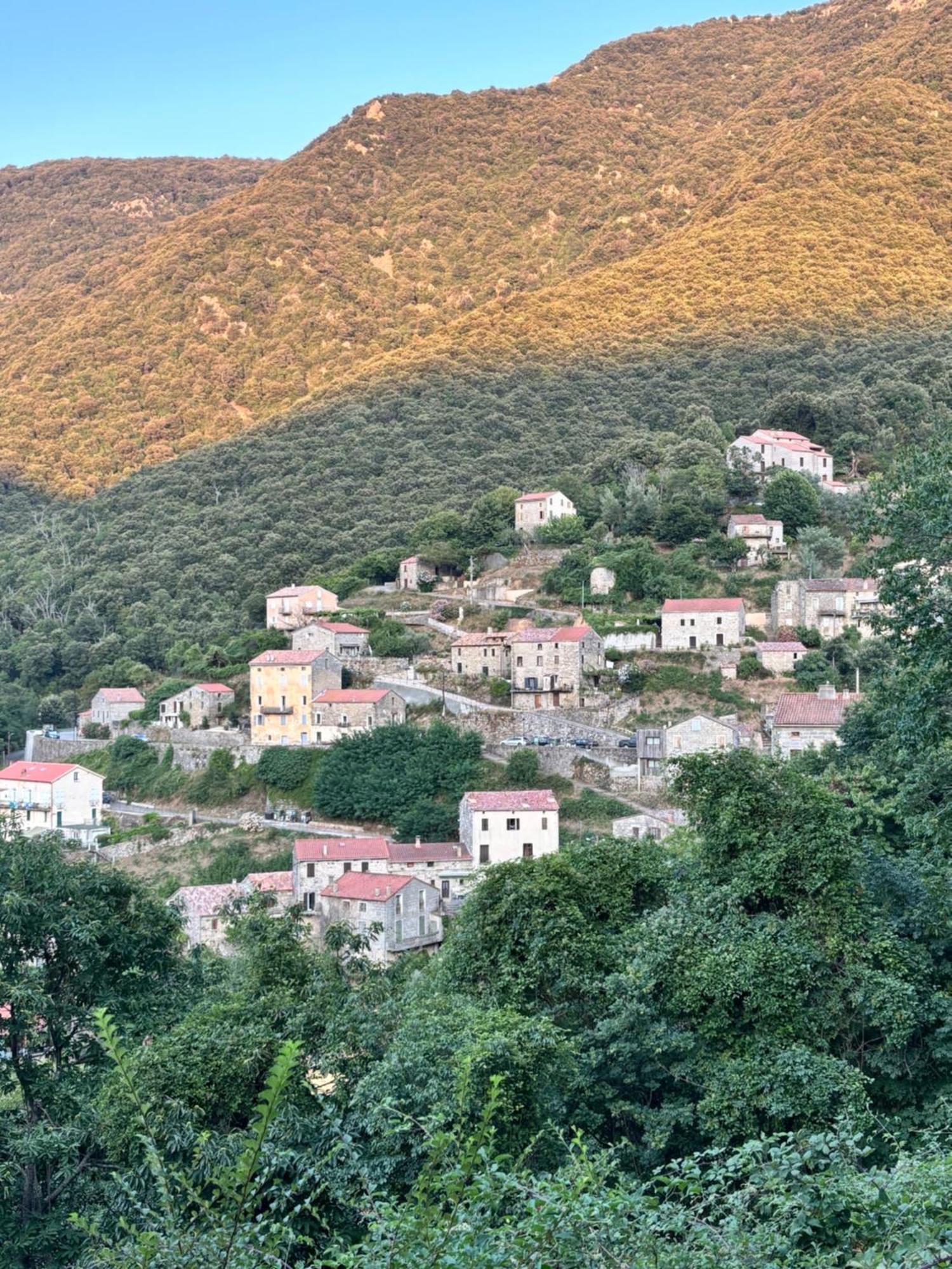 Casa Arena Authentique Maison De Village Avec Piscine Au Coeur De L'Alta Rocca - Zoza Eksteriør bilde